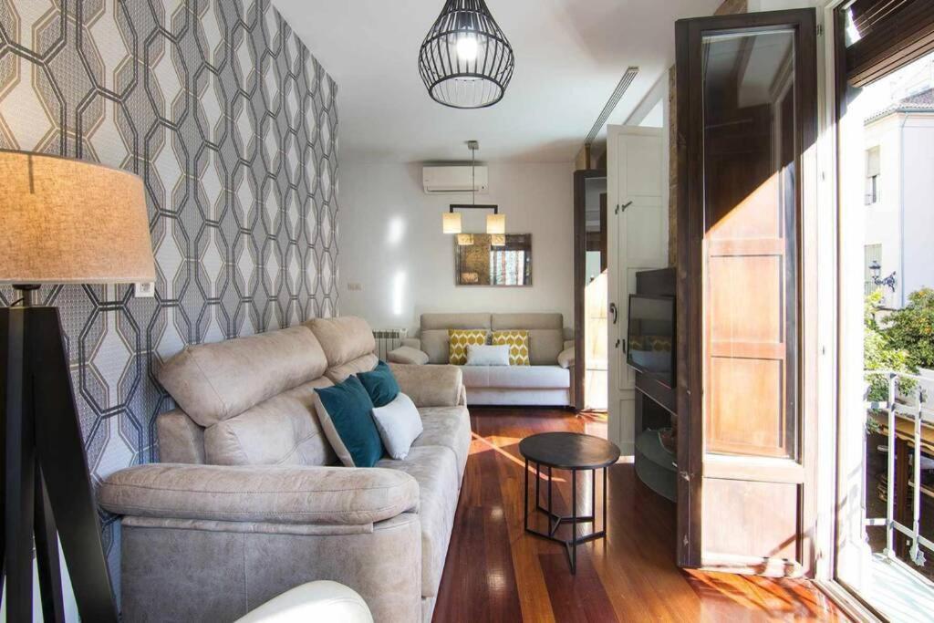 גרנדה Eco Center Granatensis Catedral 2 Habitaciones Free Parking מראה חיצוני תמונה